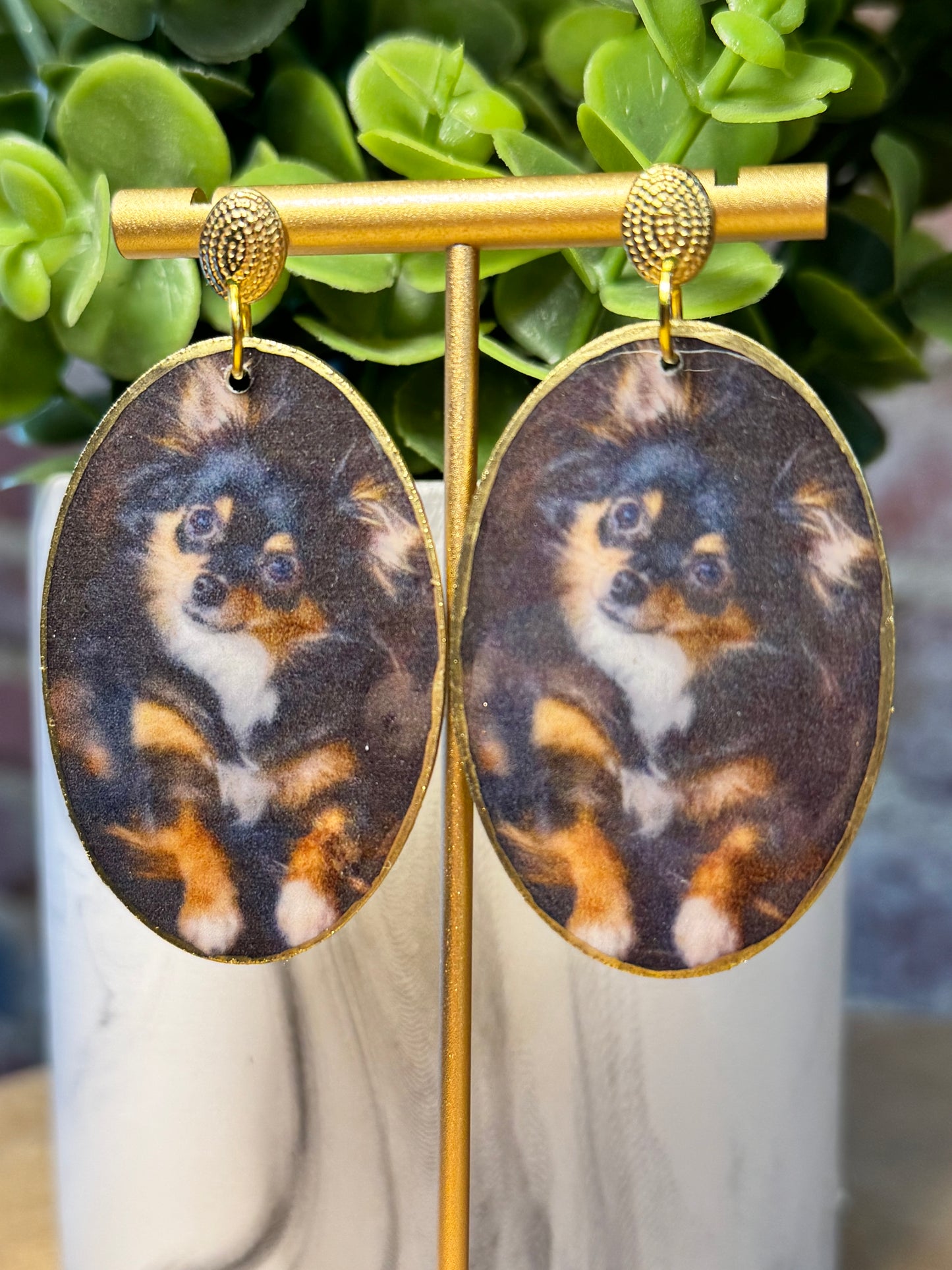 Long-haired Chihuahua Earrings on Gold Studs
