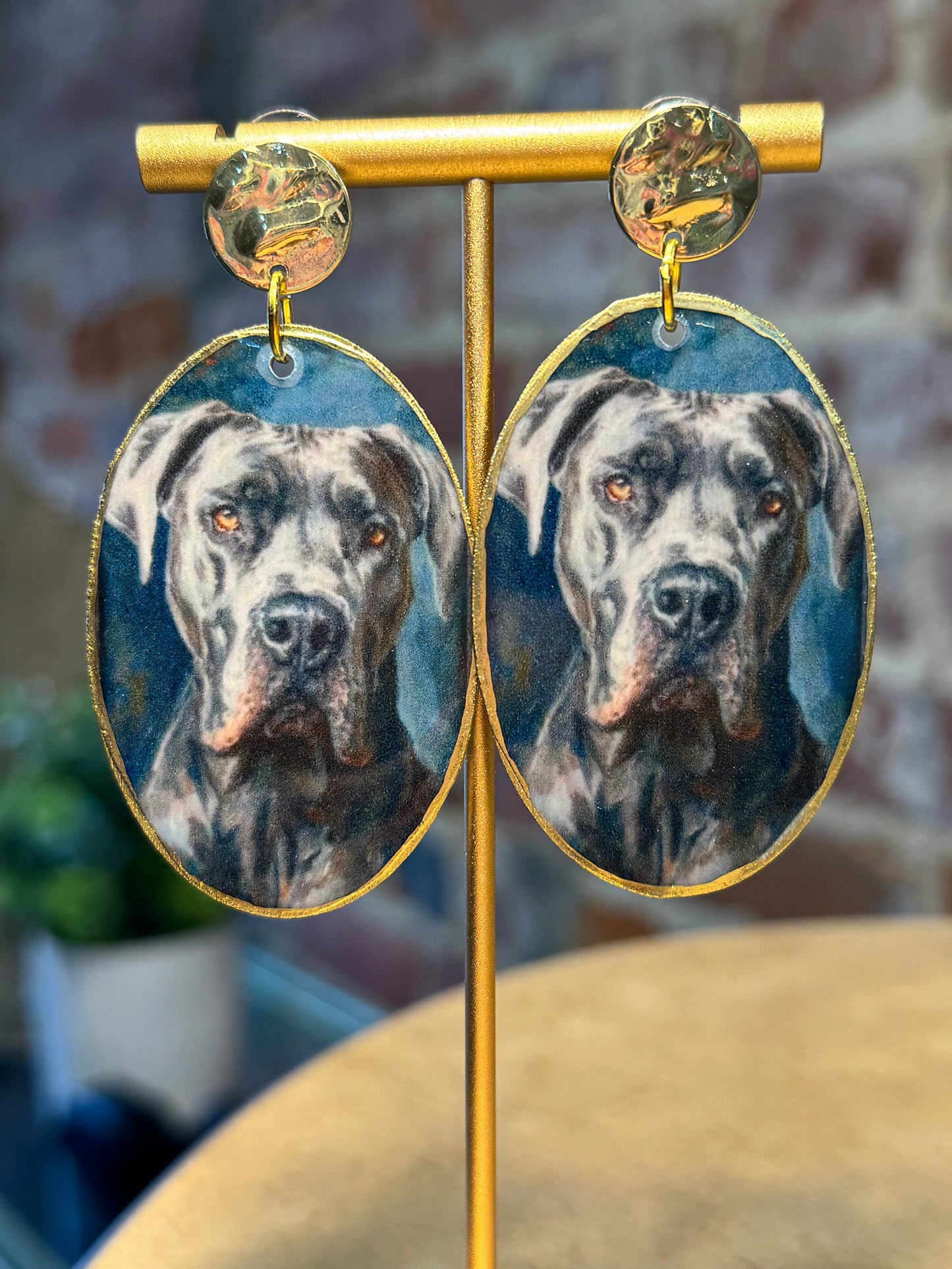 Cane Corso Earrings on Gold Studs
